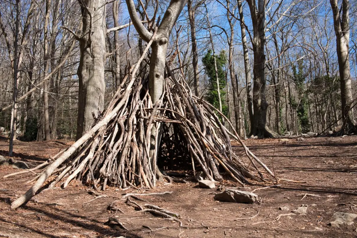 Stage construction abris de survie en Normandie